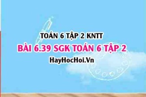 Bài 6.39 SGK Toán 6 tập 2 Kết nối tri thức